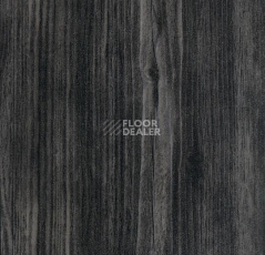 Кварцвиниловые полы Forbo Effekta Standard 3013P Black Pine ST фото 1 | FLOORDEALER